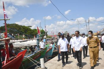 Nelayan Cirebon "curhat" langka solar ke Jokowi dan Ridwan Kamil