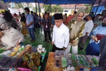 Pemkot Palu upayakan jaga stabilitas produksi UMKM