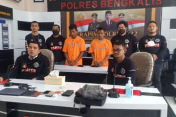 Polisi Bengkalis ringkus dua pelaku pembunuhan perempuan dalam septic tank