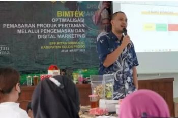 Pacu milenial kembangkan agribisnis, Polbangtan Kementan bekali pelatihan digital marketing