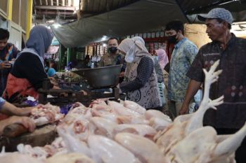 Pemerintah Kabupaten Pekalongan jamin ketersediaan pangan hingga Lebaran