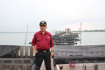 Kepri dorong nelayan tangkap juga geluti budi daya
