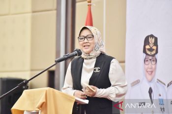 PPP bakal berikan bantuan hukum kepada Bupati Bogor Ade Yasin