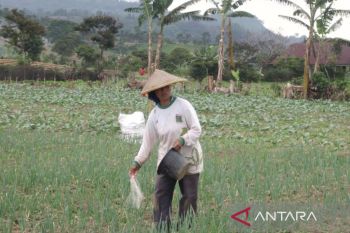 Petani di Rejang Lebong diminta masuk kelompok