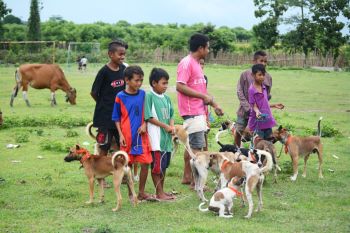 Pemerintah perketat pengendalian rabies di Sumbawa jelang MXGP Samota