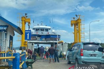 Penumpang kapal roro Batam-Bintan kerap menumpuk sore hari