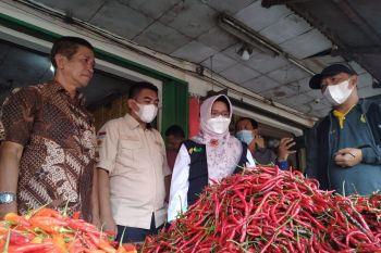 BPPSDMP sebut stok bawang merah dan putih di Lampung cukup stabil