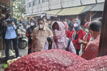 Stok bawang merah dan putih di Lampung cukup