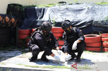 Polres Jember musnahkan bahan peledak petasan