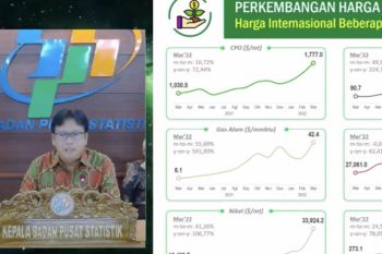 BPS sebut harga komoditas ekspor-impor alami peningkatan signifikan