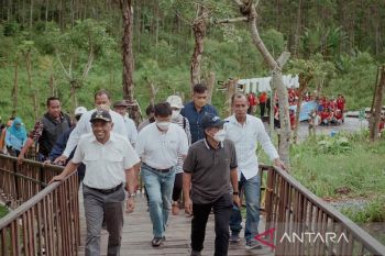 UGM lirik kawasan IKN Nusantara bangun kampus