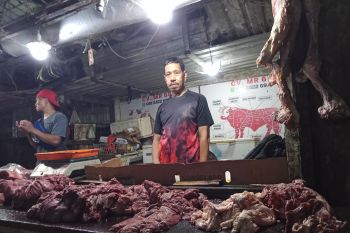 Bulog: Daging impor 3 ton dapat memenuhi kebutuhan sepekan di Makassar