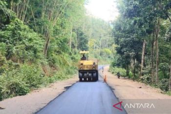 Pemprov NTT targetkan 180 km jalan di Flores selesai dibangun Juni 2022