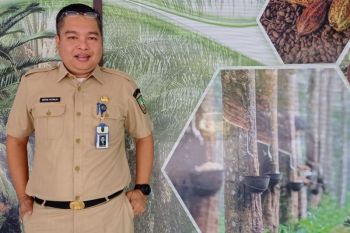 Harga sawit Riau turun Rp83,79/kg, penyebabnya?
