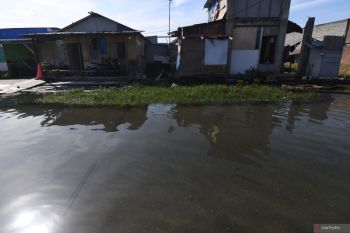 Terendam Pasang Laut