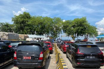 Ratusan kendaraan antre berjam-jam di Pelabuhan Tanjunguban