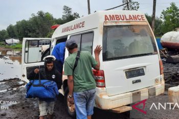 Seorang pekerja kembali tewas diterkam harimau di Muaro Jambi