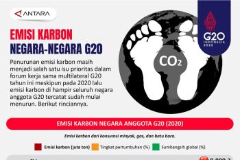 Emisi karbon negara-negara G20