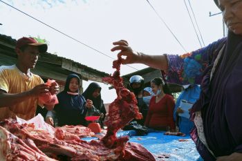 Ekonomi Riau diperkirakan tumbuh 3,38 persen tahun 2022