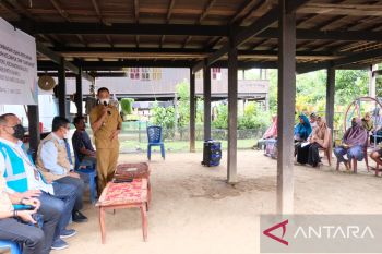 PLN UIP Sulawesi salurkan 1.650 kg bibit bawang merah di Barru
