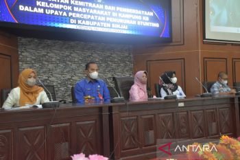 Pemkab Sinjai kuatkan Kampung KB untuk tekan angka stunting