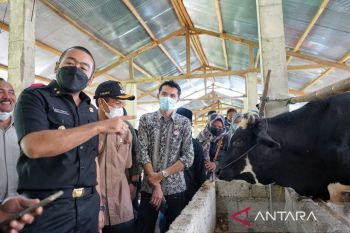 Wagub Sumbar dukung program Satu Keluarga Satu Sapi Solok Selatan