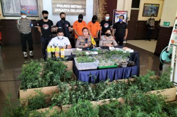 Polisi periksa pengelola apartemen yang jadi tempat tanam ganja