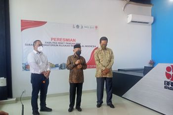 Wapres maklumi kenaikan jumlah pemudik Lebaran 2022