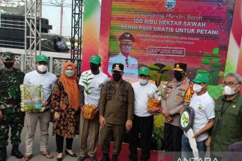 Gubernur Sulsel salurkan benih padi gratis untuk 2.675 kelompok tani