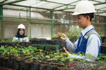 Bukit Asam raih penghargaan Emisi Korporasi 2022