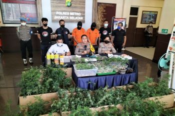 Polisi akan periksa pengelola apartemen yang jadi tempat untuk tanam ganja