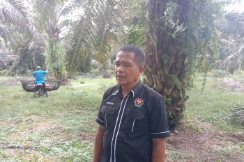 Personel Polres Agam buka lapangan pekerjaan melalui usaha kebun sawit