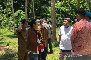 Pemprov Sulteng  jamin petani tetap kelola lahan di kawasan pangan