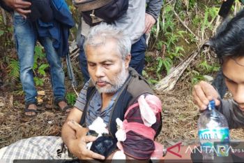 Pasca serangan Harimau, masyarakat - karyawan PTPN III Hapesong sementara dilarang beraktivitas