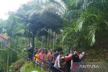 BBKSDA Sumut akan pasang perangkap harimau yang serang dokter hewan di Tapsel
