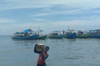 DKP Sulsel klaim kelangkaan solar tidak mempengaruhi produksi nelayan