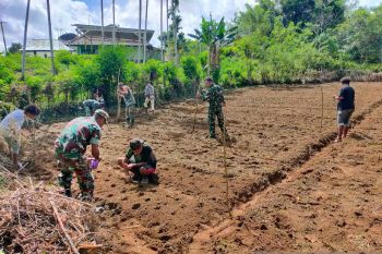 Koramil Biak Barat dukung peningkatan ketahanan pangan Kampung Yomdory