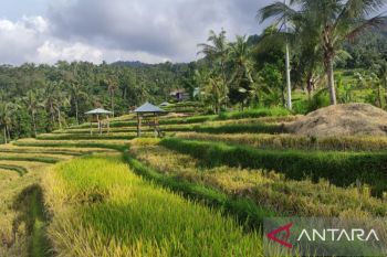 Preparing three tourist villages in Buleleng, Bali, for G20 delegates