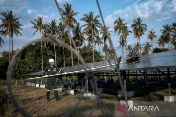 Jadi Ujung Tombak Penurunan Emisi di RI, Ini Upaya PLN Jaga Kelestarian Bumi