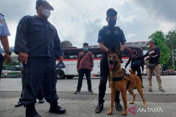 Tim K9 BNN periksa bawaan pemudik di Terminal Kampung Rambutan