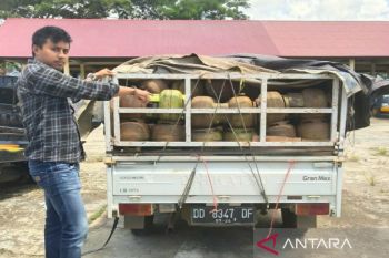 Polisi Konawe sita 200 tabung gas 3 kg diduga tanpa izin penjualan