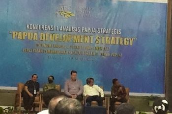 Kabupaten/Kota di Papua perlu regulasi khusus melindungi perempuan-anak
