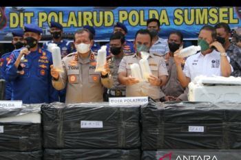 Tim Polair Polda Sumsel gagalkan penyelundupan 616.800 benih lobster