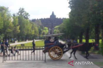 Peningkatan pengunjung Candi Borobudur jelang Lebaran belum signifikan