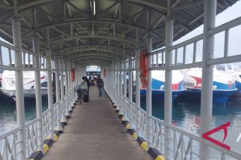 Delapan kapal cepat angkut ribuan penumpang Batam-Dumai
