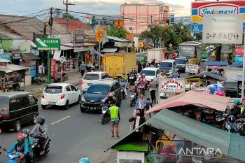 Pengamat: Butuh jalan alternatif dan informasi arus mudik atasi macet