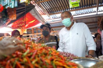 Dipastikan aman, Kementan imbau warga Gorontalo tak borong kebutuhan
