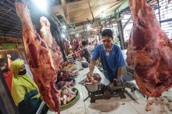 Jelang Lebaran, Harga Daging Sapi Di Palangka Raya Naik