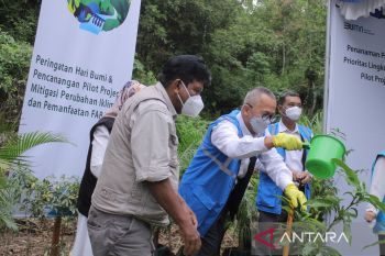 Peringati Hari Bumi, PLN tanam 1.800 pohon dan dorong pemanfaatan electrifying agriculture di Sumbar