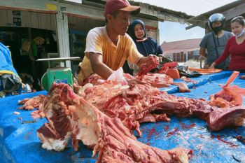 Budaya masak rendang dongkrak harga daging sapi Pekanbaru Rp170.000 per kg